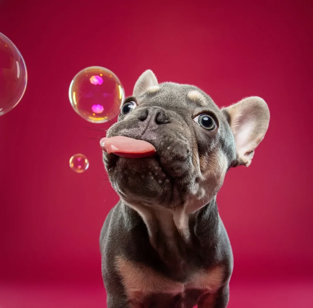 44f64d23e1fa9345bca448df2dbfd30d