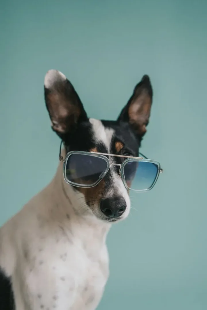 cf965263d3b6e5f2db0333fc22a6c735